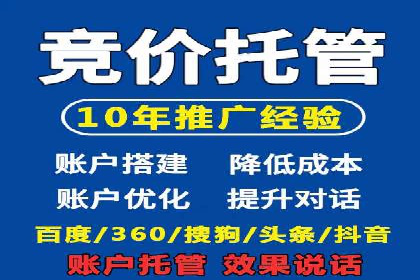 竞价推广中的着陆页策略：成功案例解读